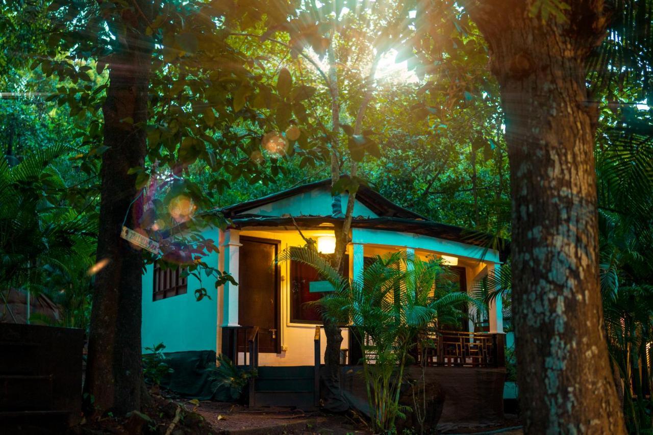 La La Land Resort Goa By Spicy Mango ปาโลเลม ภายนอก รูปภาพ