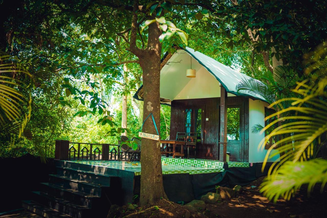 La La Land Resort Goa By Spicy Mango ปาโลเลม ภายนอก รูปภาพ